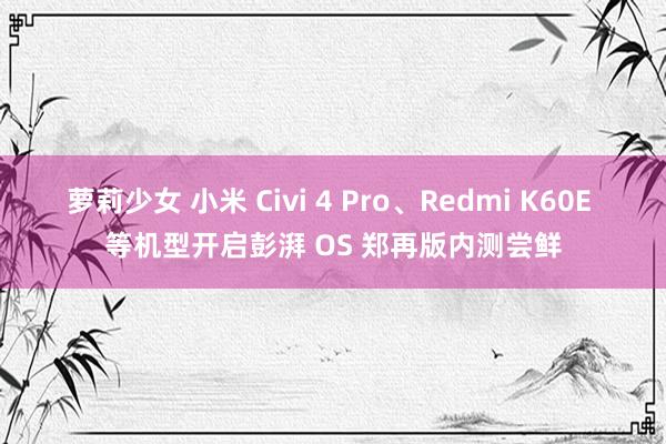 萝莉少女 小米 Civi 4 Pro、Redmi K60E 等机型开启彭湃 OS 郑再版内测尝鲜