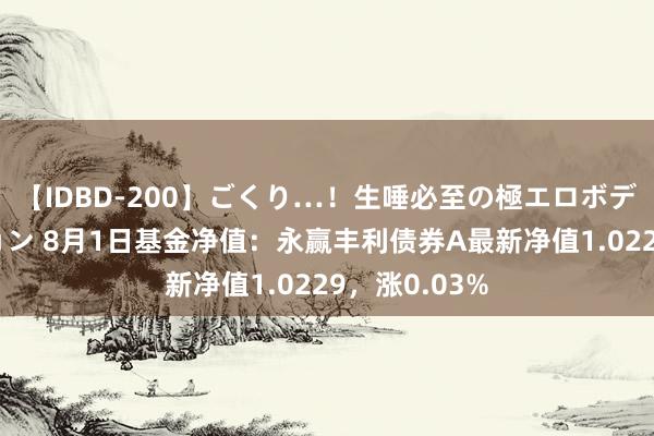 【IDBD-200】ごくり…！生唾必至の極エロボディセレクション 8月1日基金净值：永赢丰利债券A最新净值1.0229，涨0.03%