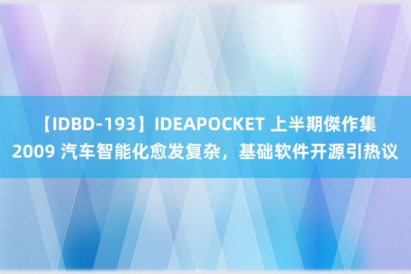 【IDBD-193】IDEAPOCKET 上半期傑作集2009 汽车智能化愈发复杂，基础软件开源引热议