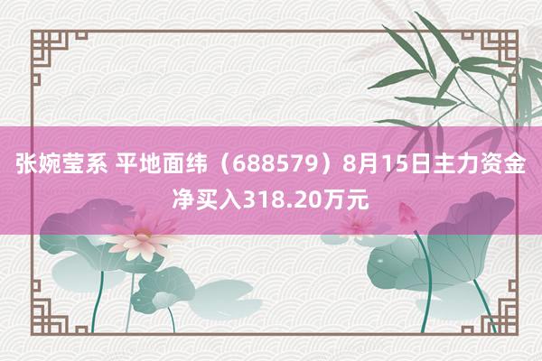 张婉莹系 平地面纬（688579）8月15日主力资金净买入318.20万元