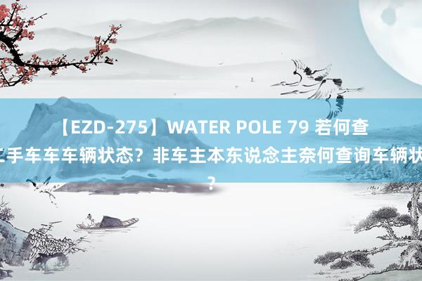 【EZD-275】WATER POLE 79 若何查询二手车车车辆状态？非车主本东说念主奈何查询车辆状态？