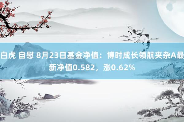 白虎 自慰 8月23日基金净值：博时成长领航夹杂A最新净值0.582，涨0.62%