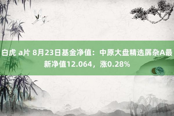 白虎 a片 8月23日基金净值：中原大盘精选羼杂A最新净值12.064，涨0.28%