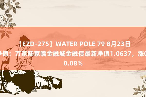 【EZD-275】WATER POLE 79 8月23日基金净值：万家陆家嘴金融城金融债最新净值1.0637，涨0.08%