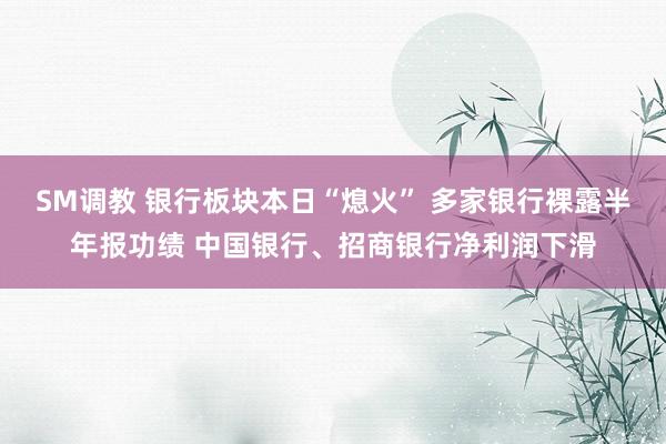 SM调教 银行板块本日“熄火” 多家银行裸露半年报功绩 中国银行、招商银行净利润下滑