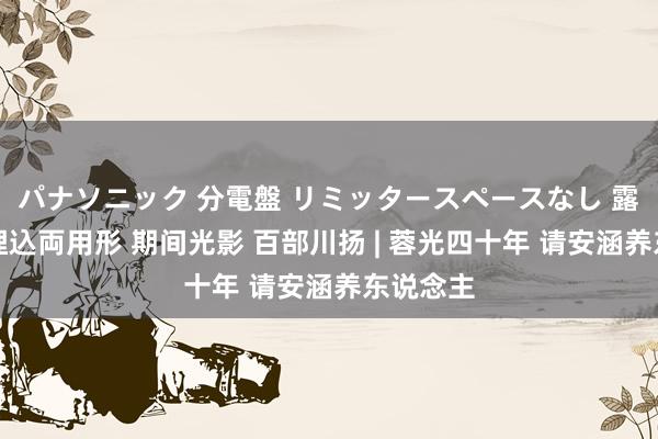 パナソニック 分電盤 リミッタースペースなし 露出・半埋込両用形 期间光影 百部川扬 | 蓉光四十年 请安涵养东说念主