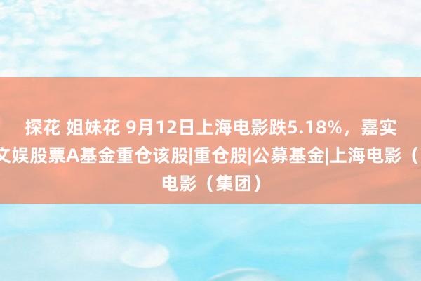 探花 姐妹花 9月12日上海电影跌5.18%，嘉实体裁文娱股票A基金重仓该股|重仓股|公募基金|上海电影（集团）