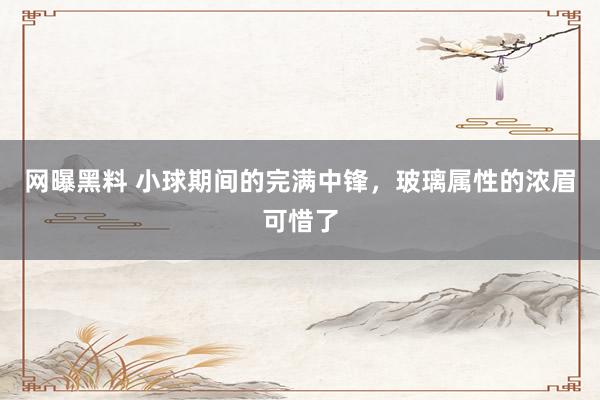 网曝黑料 小球期间的完满中锋，玻璃属性的浓眉可惜了