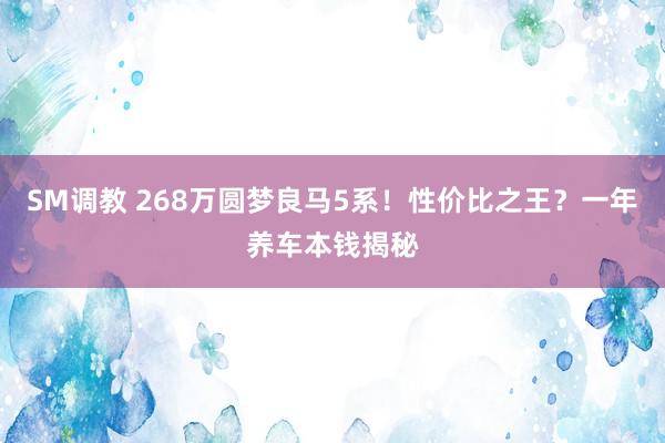 SM调教 268万圆梦良马5系！性价比之王？一年养车本钱揭秘