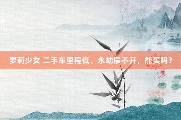 萝莉少女 二手车里程低、永劫辰不开，能买吗？